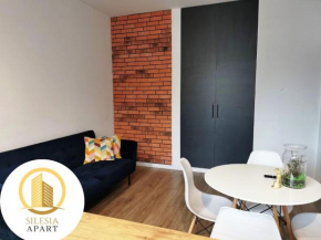 Apartament Ceglany